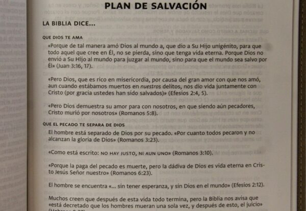 la biblia dice