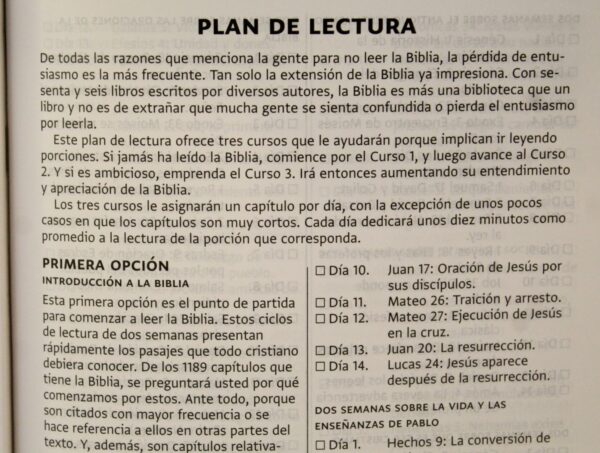 plan de lectura